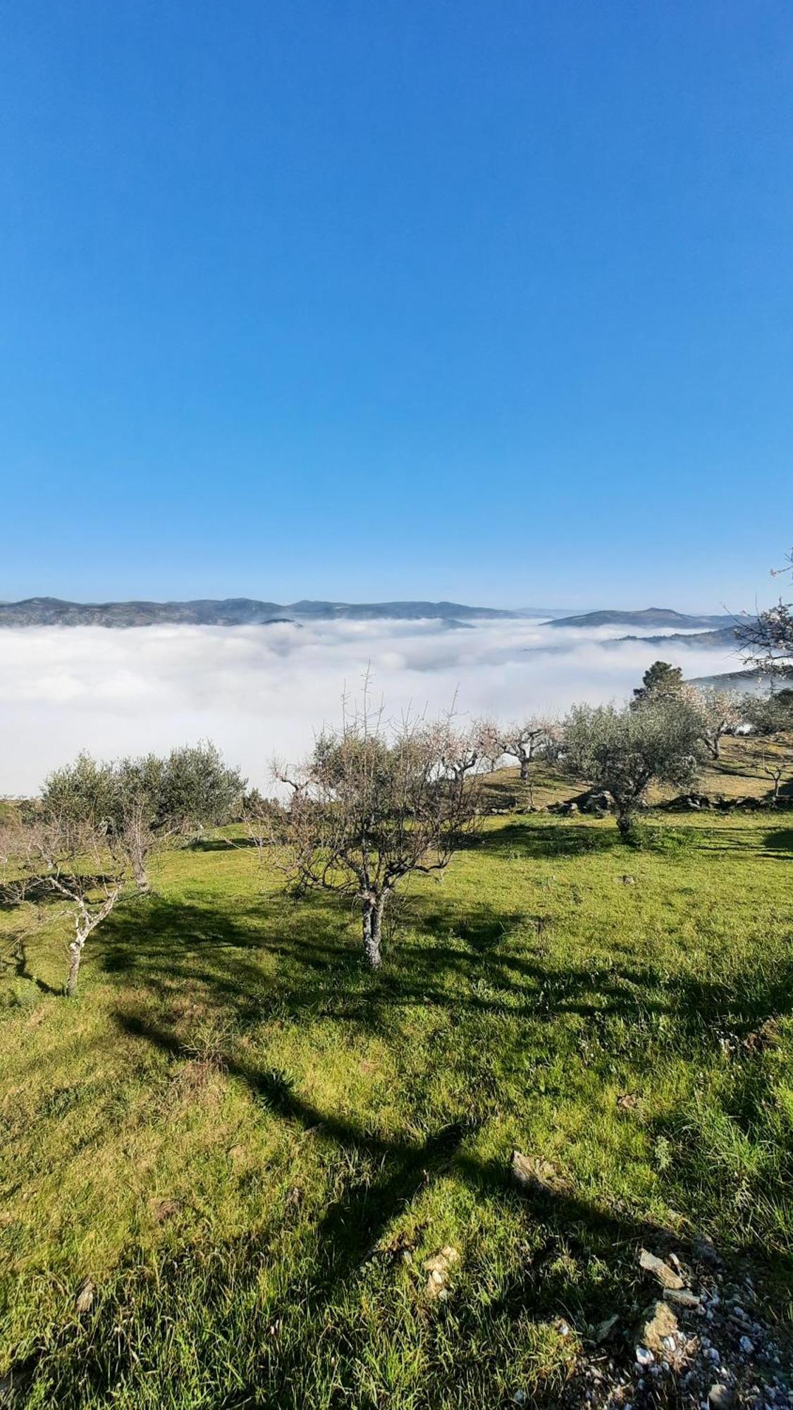 Ferradosa Guesthouse Vale de Figueira エクステリア 写真